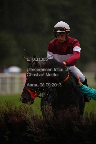 ET0Q1305 prot